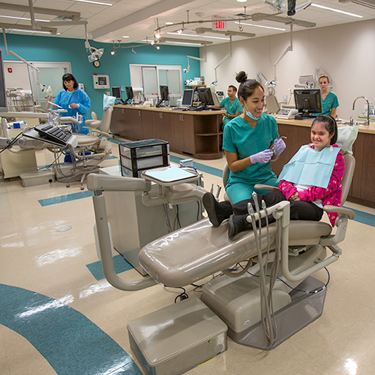 Dental Care | NSU Health