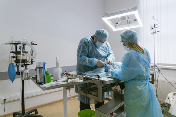 Two doctors working in an operating room
