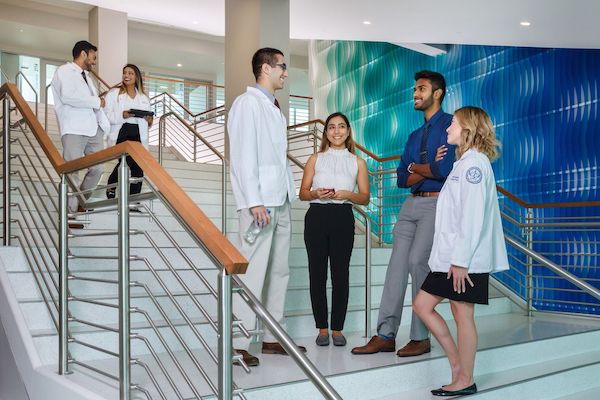 mix of health and business students having a conversation in a stairway