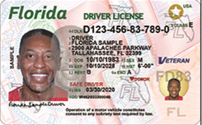 sample of a drivers license